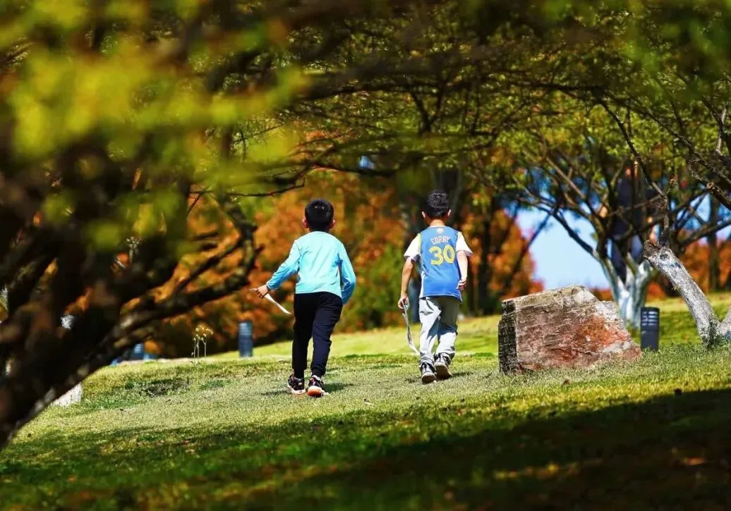除了试卷,孩子更需要解决真实世界的问题|山野定向探索独立营,暂别屏幕、协作创造 第1张