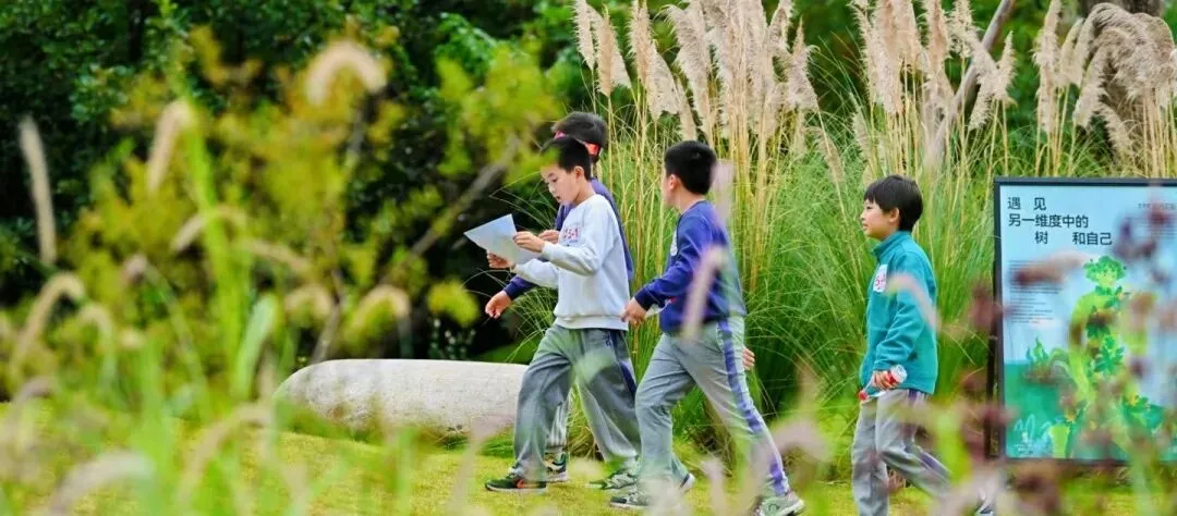 除了试卷,孩子更需要解决真实世界的问题|山野定向探索独立营,暂别屏幕、协作创造 第8张