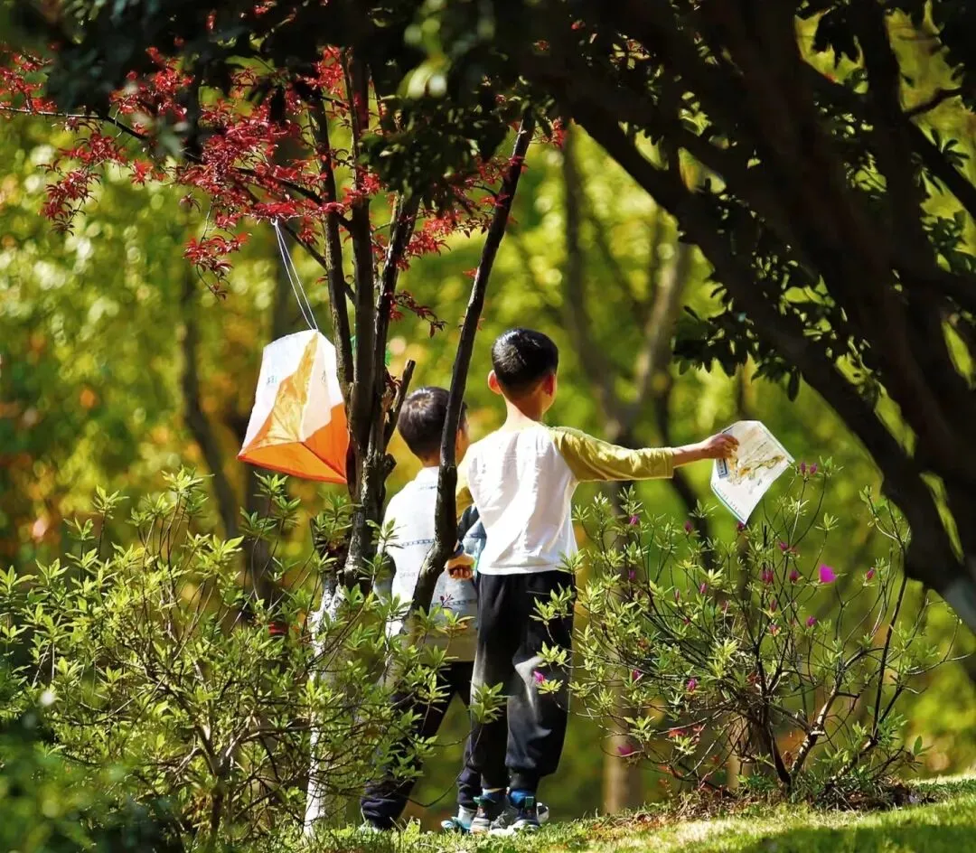 除了试卷,孩子更需要解决真实世界的问题|山野定向探索独立营,暂别屏幕、协作创造 第18张