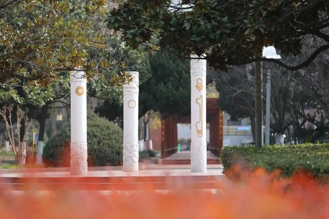 距中考49天丨问老师问题,学会“课题分离” 第3张