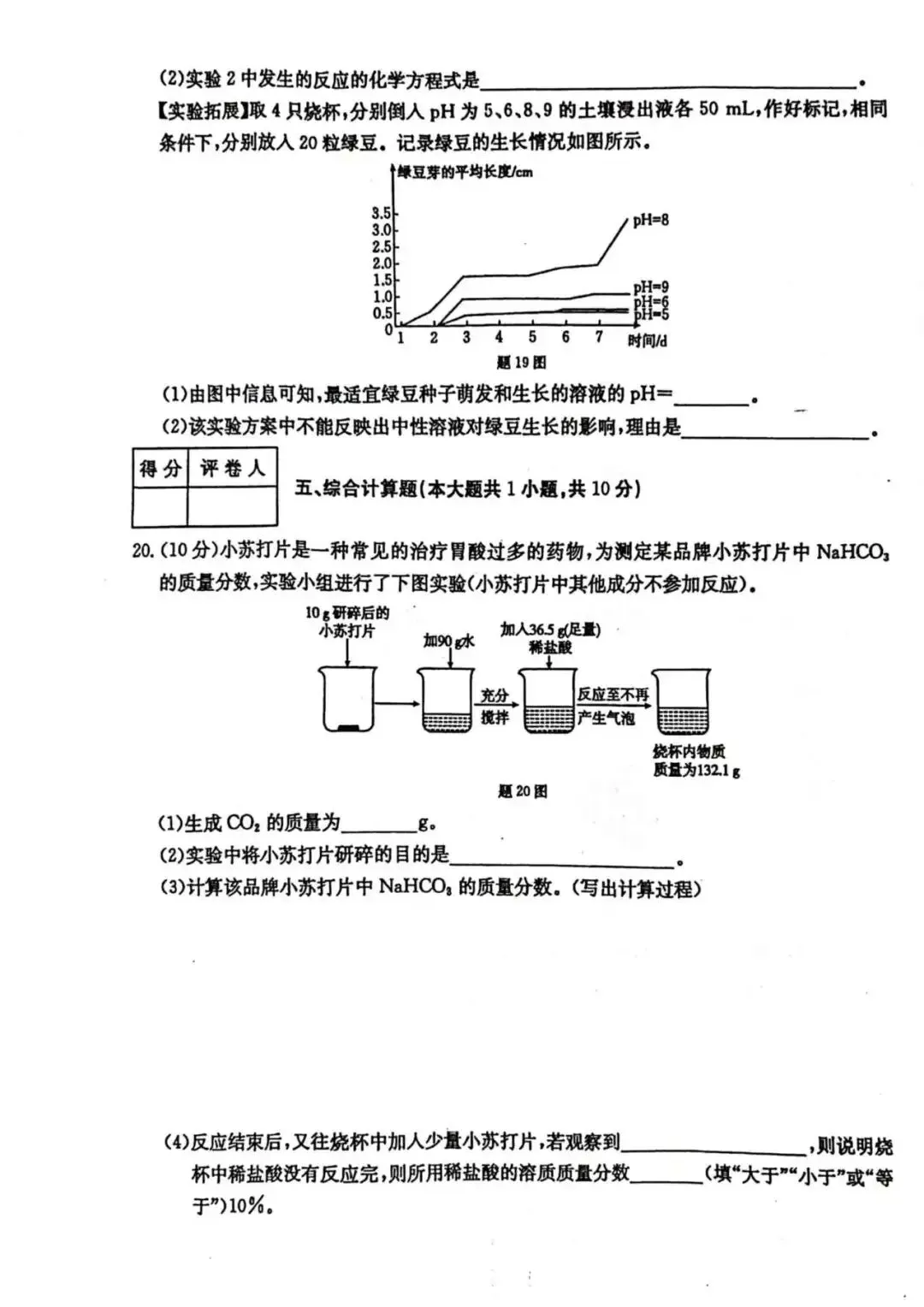 2025-2026九年级化学期中考试卷 第6张