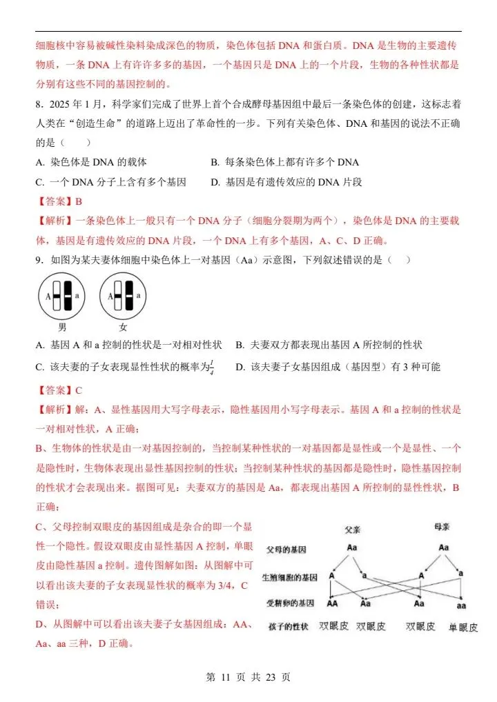2026年新版八年级下册生物《期中考试模拟试卷》通用版,附详细解析版,完整电子版可打印 第13张