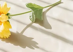 (优维苑)七年级下期中考试模拟七 第10张