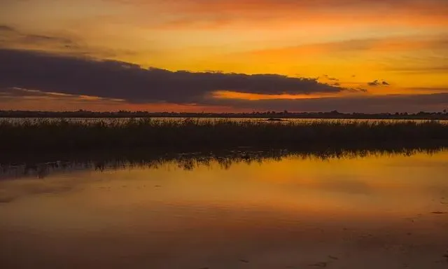 中考|部编7—9年级古诗文情景式默写全面复习训练 第5张
