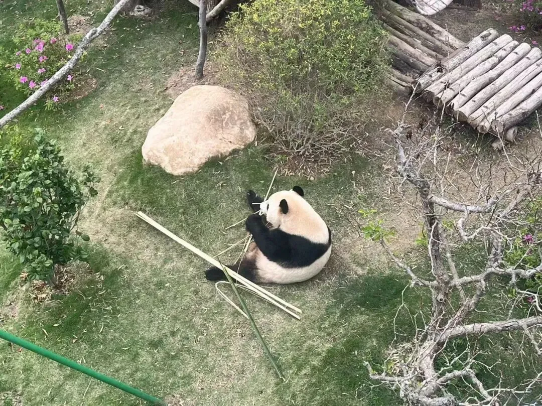 无体育中考,我们真的会让孩子主动运动吗? 第1张