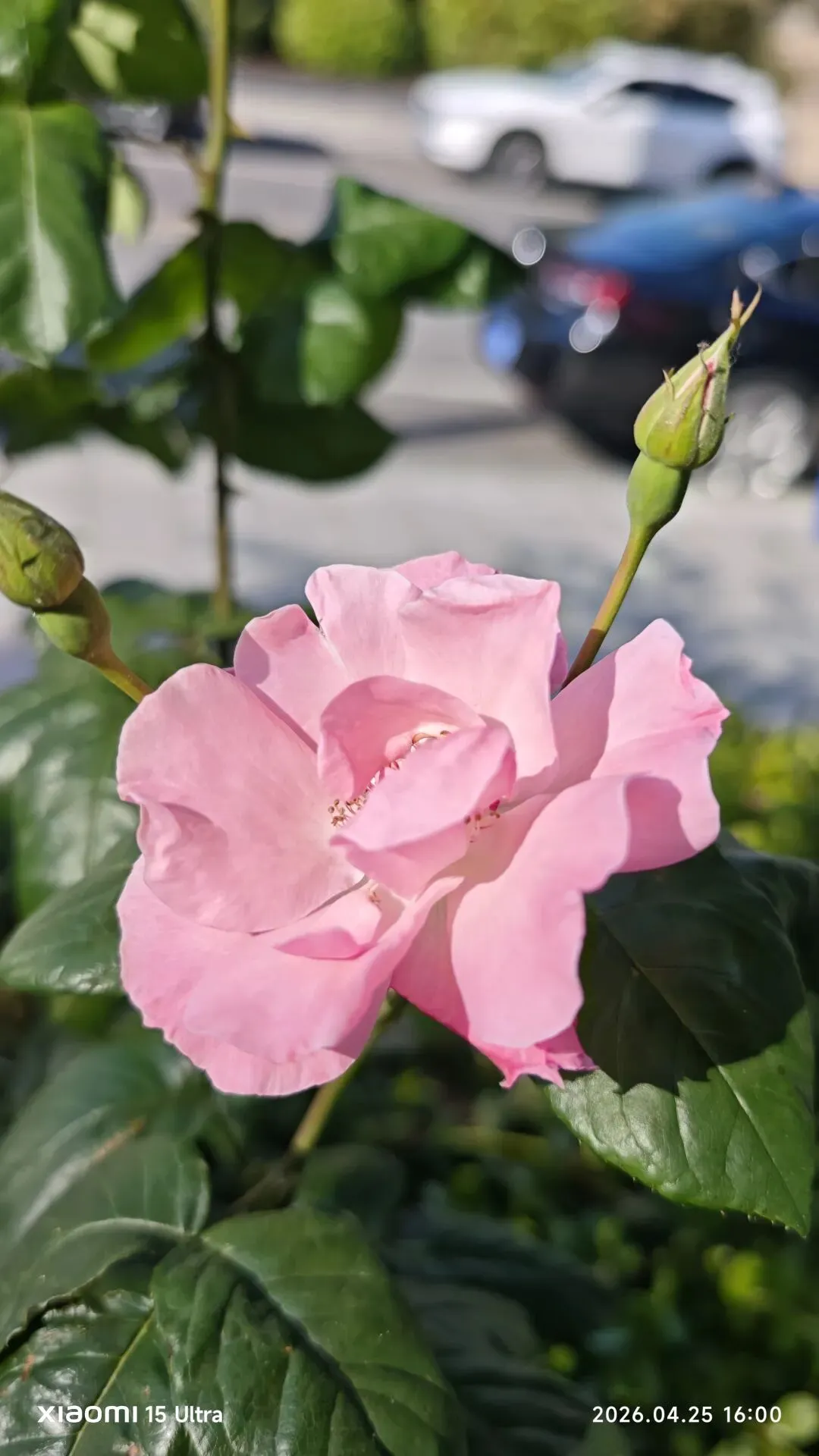 2026年事业单位面试真题真练 第1张