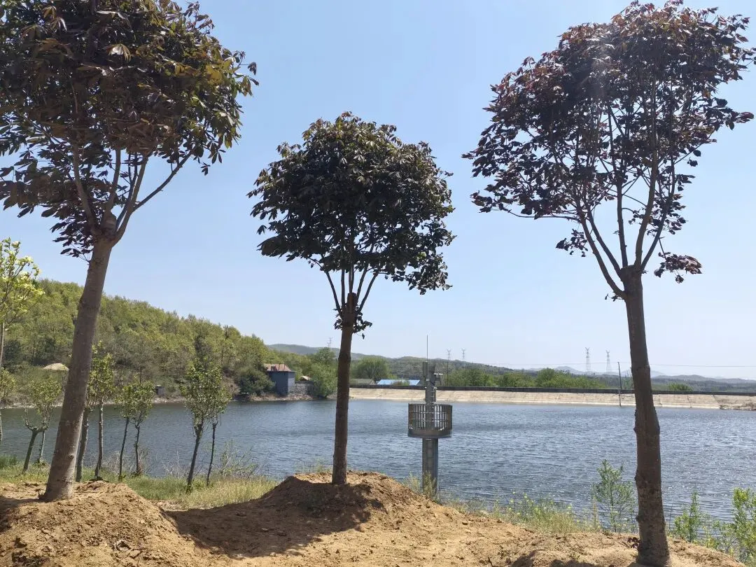 天津赖老师“试卷风波”刷屏:好好说话,少踩雷区 第1张