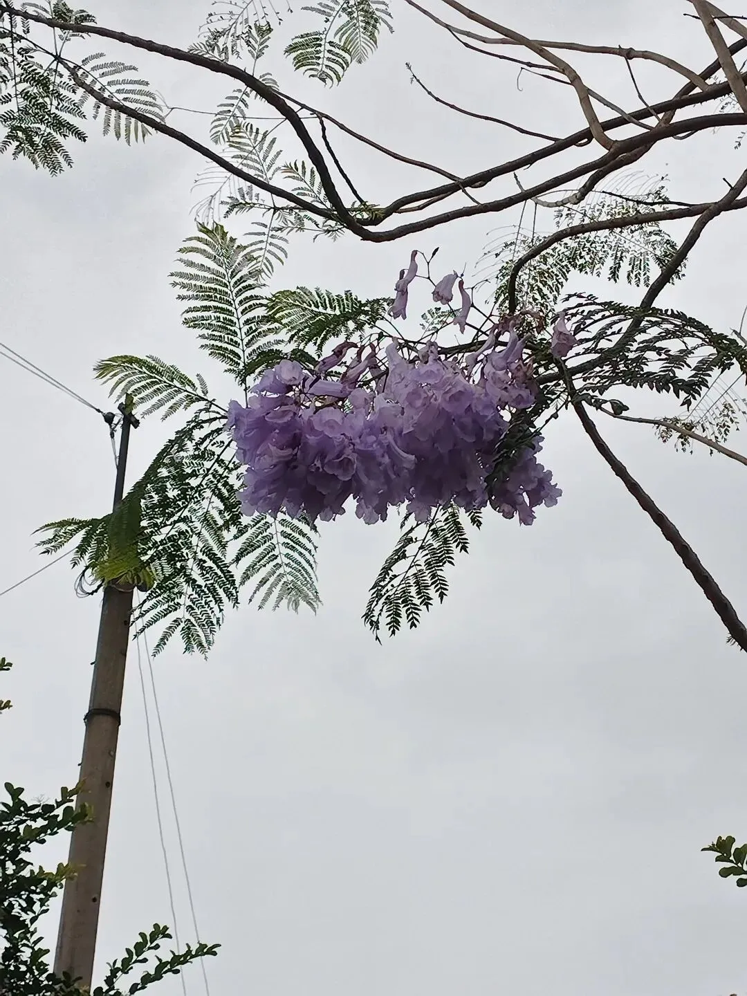 天津电子版试卷事件全网热议:谁赢了? 第1张