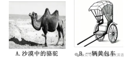 七下语文必考名著《骆驼祥子》真题速刷!针对性刷题 第7张