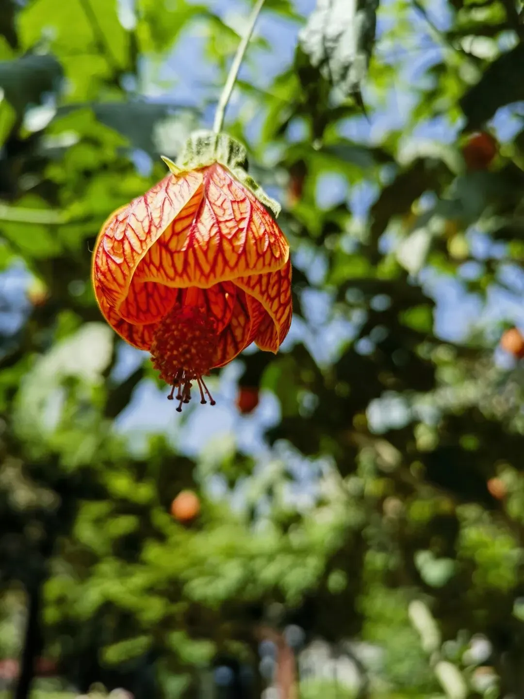 赶一场汉中考,赴一程青春归 第4张