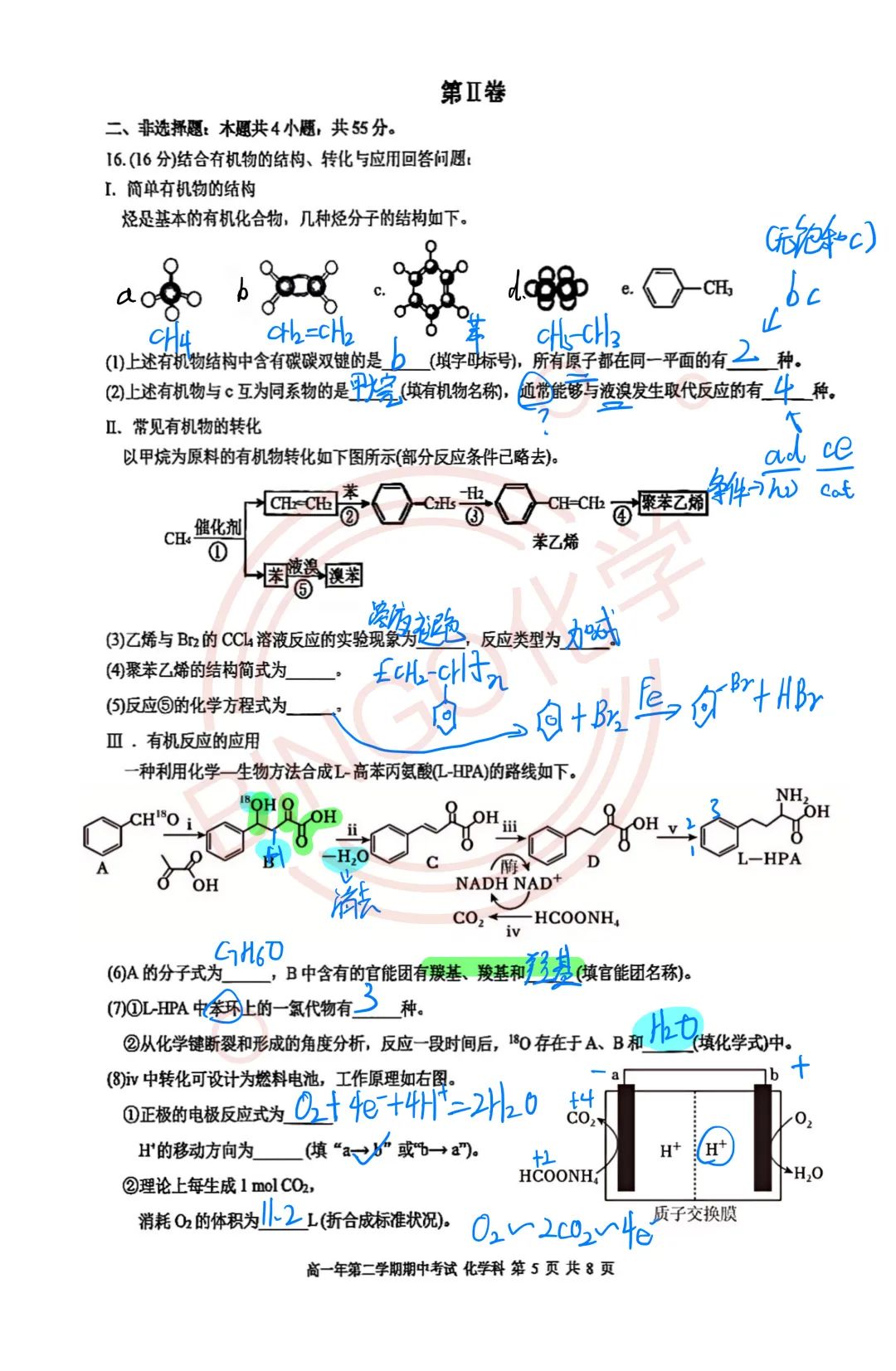 【高一期中考】厦门一中26年4月化学试卷大题手写解析 第1张