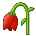 真题领取【师兄】华中科技大学812-传热学历年真题! 第10张