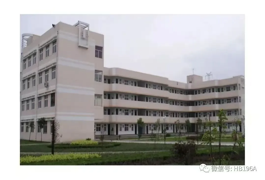 2025年四川省巴中市中考数学试卷 第26张