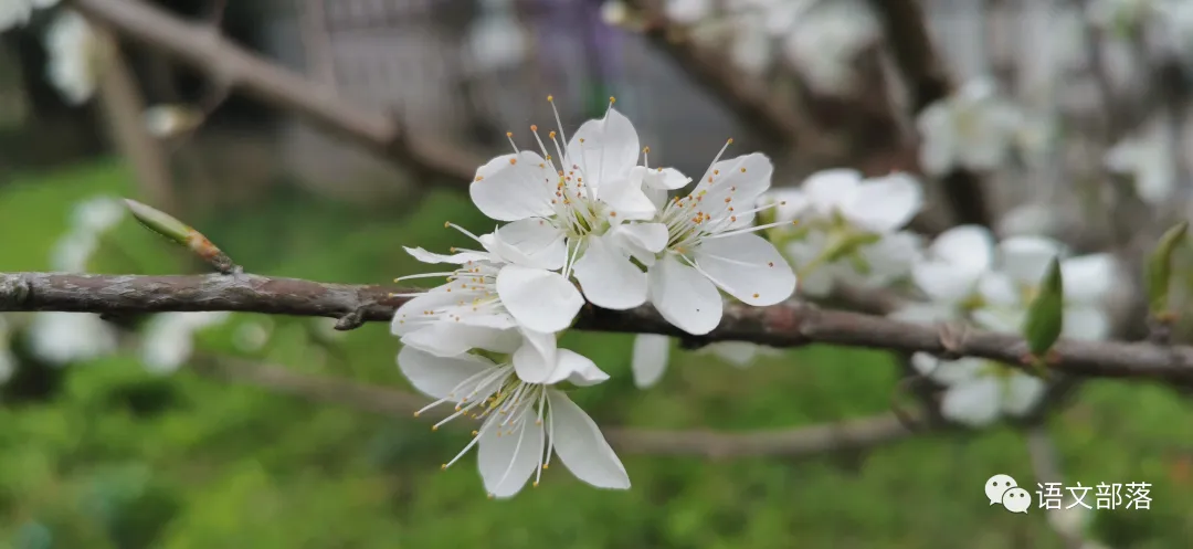 上海中考】!强烈要求上海中考小四门改成合格考 第2张