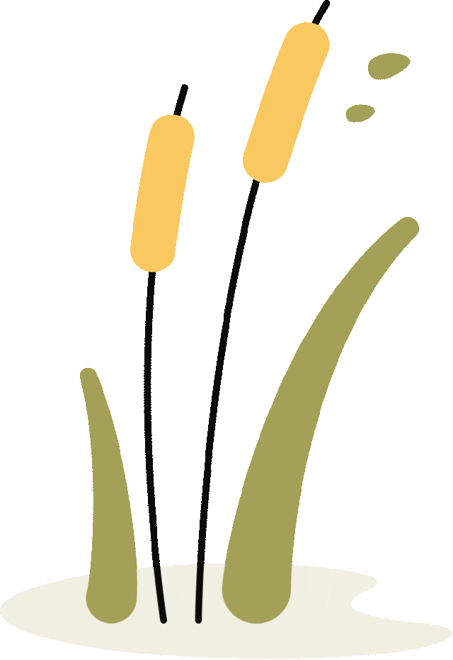 明日开考!这份中考温馨提示请收好 第8张