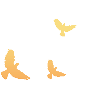 中考宝分班: 马钰+洪七公+黄蓉的顶配成长组合 第5张