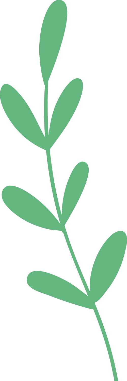 【教研】精准研析明方向 凝心聚力备中考——许昌市初中道德与法治一模试卷分析教研活动成功举办 第9张