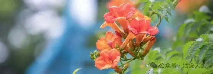 中考605分,他填了天长工业学校…… 第1张