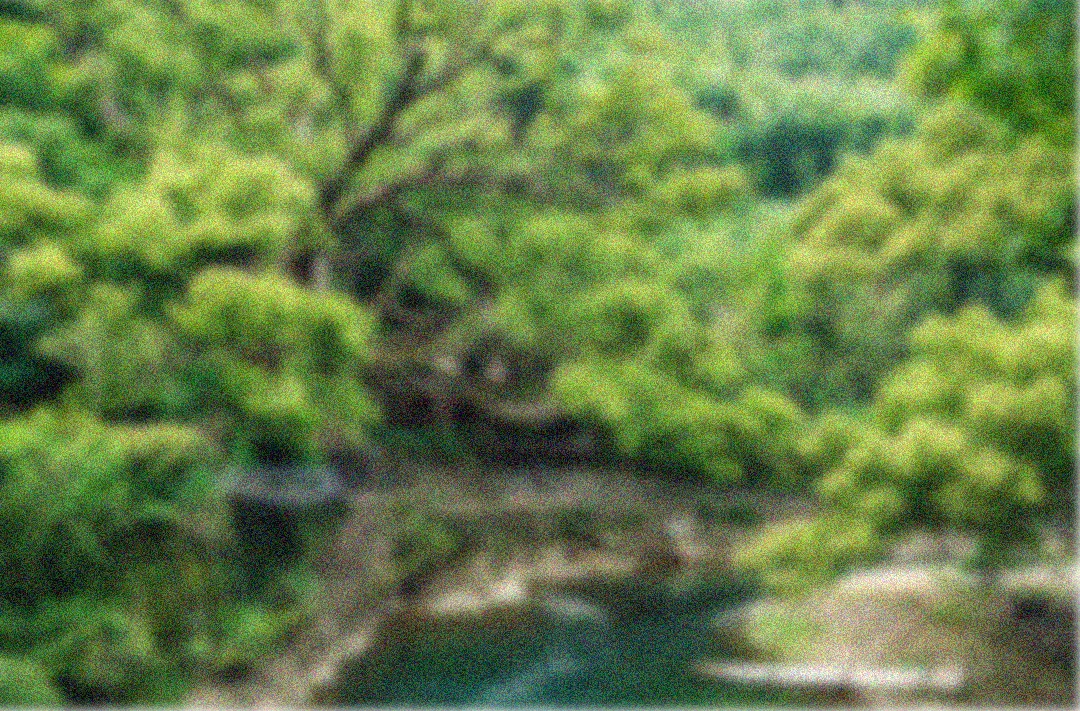 2025年杭州中考作文“诗意的思辨” | 优秀作文分享 第1张