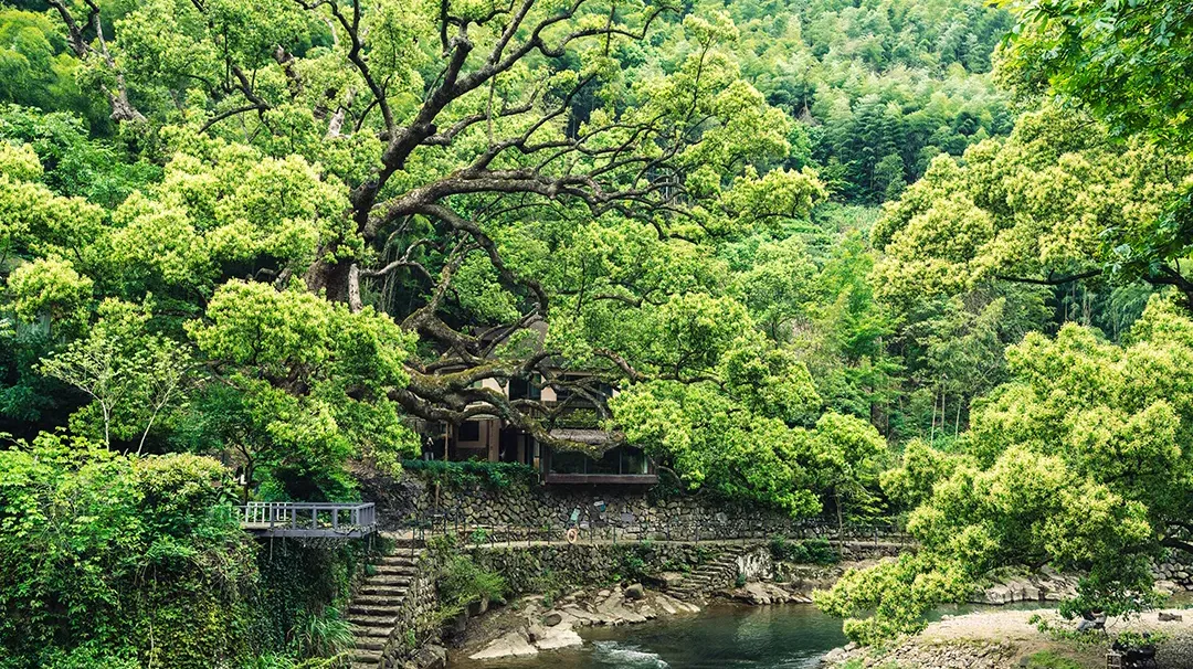 2025年杭州中考作文“诗意的思辨” | 优秀作文分享 第5张