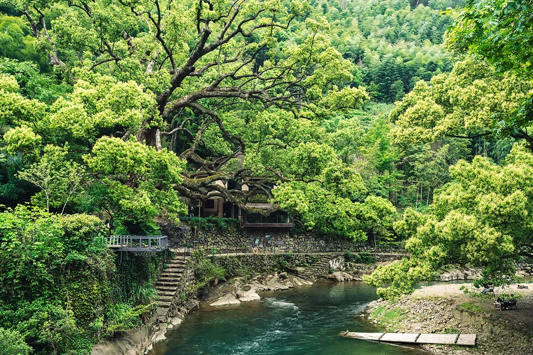 2025年杭州中考作文“诗意的思辨” | 优秀作文分享 第7张