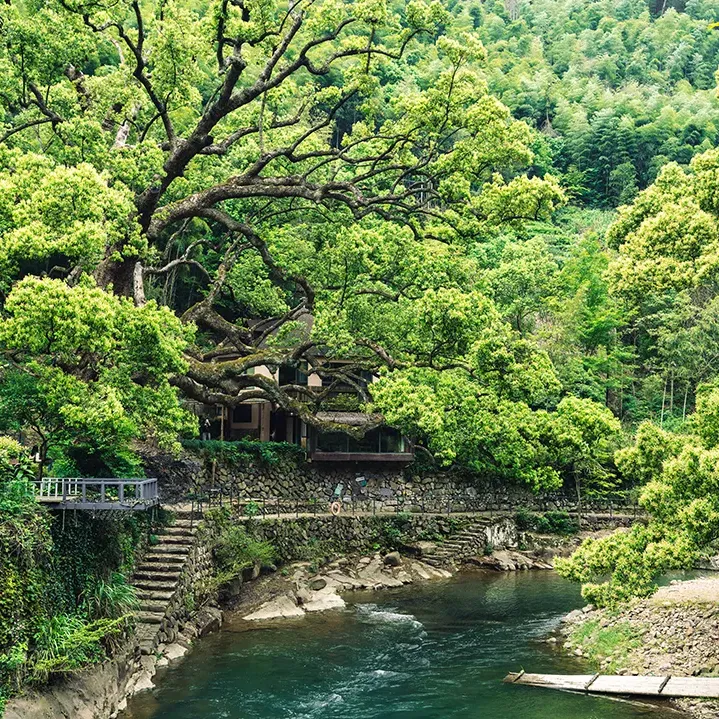 2025年杭州中考作文“诗意的思辨” | 优秀作文分享 第10张