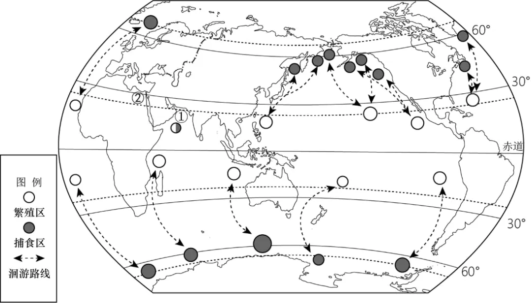 2026年中考地理综合题强化题库60题2份 第23张