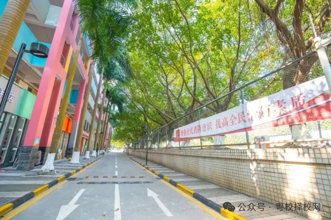 2026中考择校不踩雷!广东岭南现代技师学院【2026年招生简章】 第50张