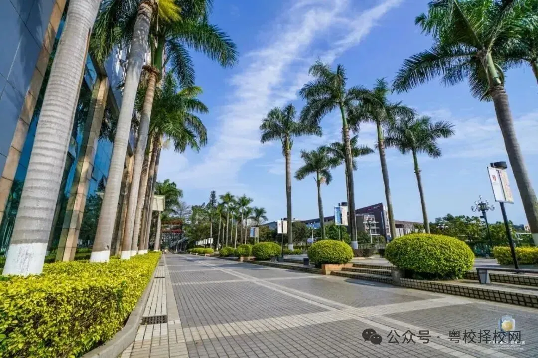 2026中考择校不踩雷!广东岭南现代技师学院【2026年招生简章】 第54张