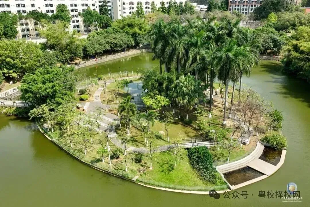 2026中考择校不踩雷!广东岭南现代技师学院【2026年招生简章】 第56张