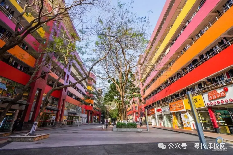 2026中考择校不踩雷!广东岭南现代技师学院【2026年招生简章】 第58张