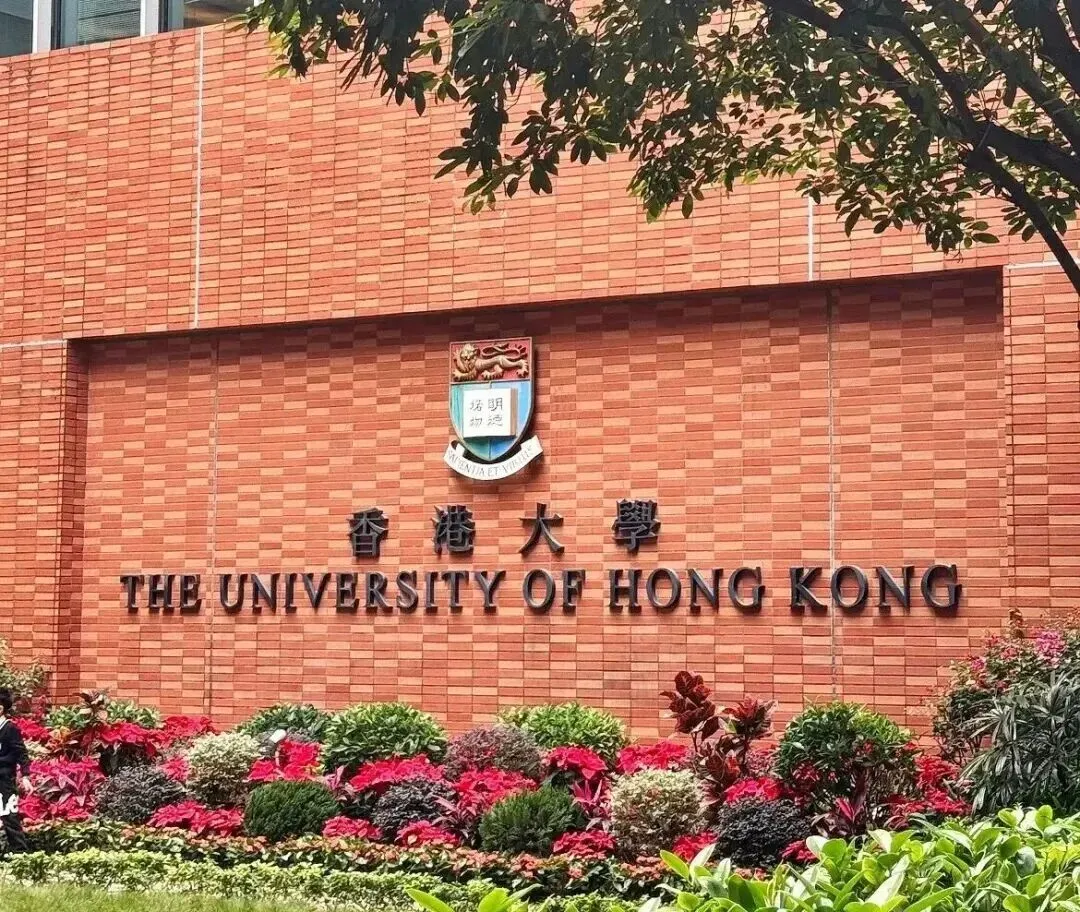 港大多元卓越计划实测爆料:第三批真题流出,985级申请者都栽在了这些坑 第4张