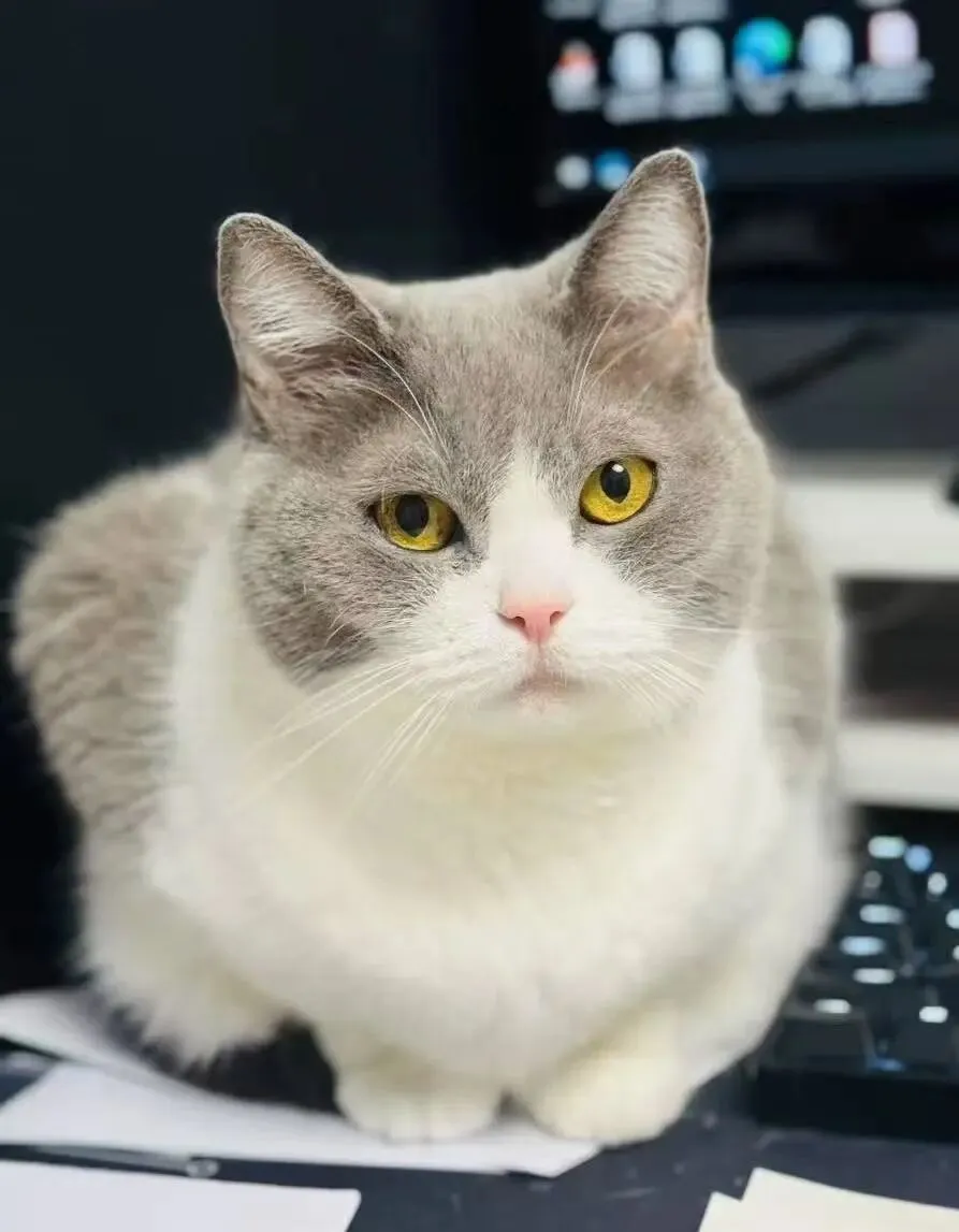 【中考科学·错例归因】Section3:审题信息的提炼与串联 第1张