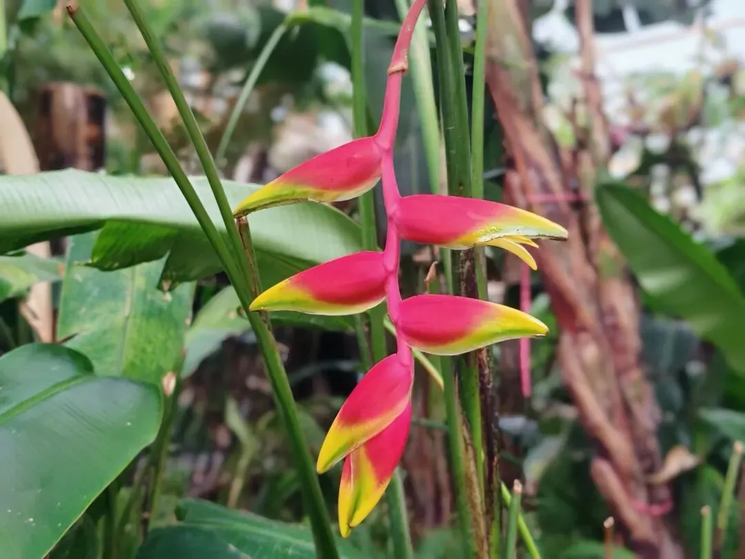 一份试卷引爆网络,现代家长如何与老师建立良好的沟通桥梁 第1张