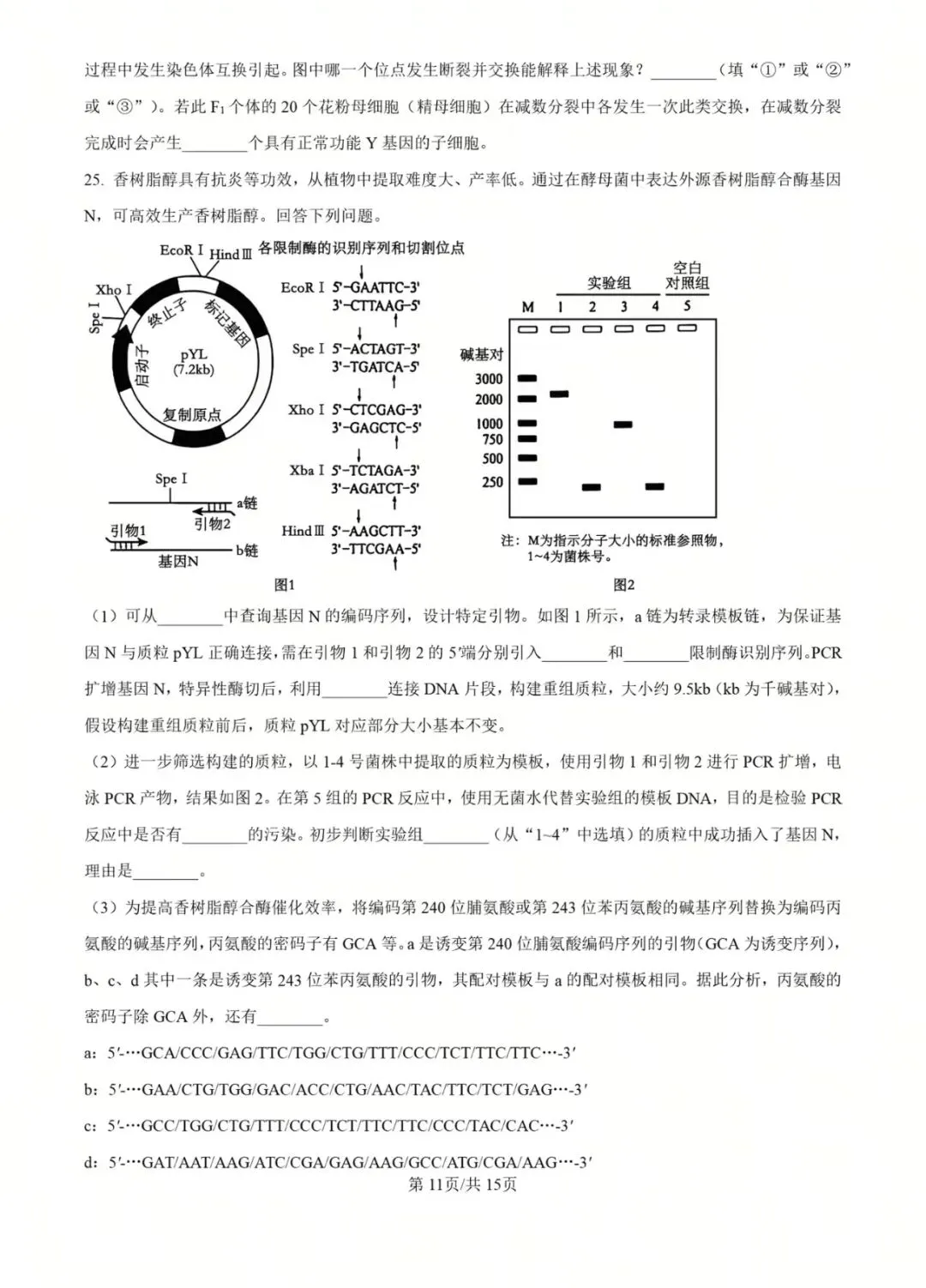 2025年黑吉辽蒙高考生物真题 第11张