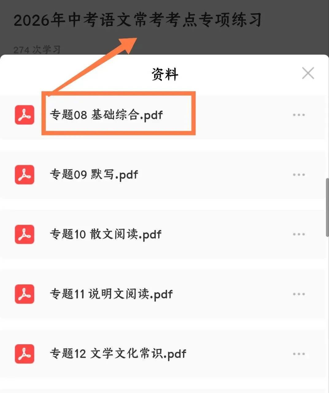2026中考语文考点专项练习|基础综合专题(可下载打印) 第8张