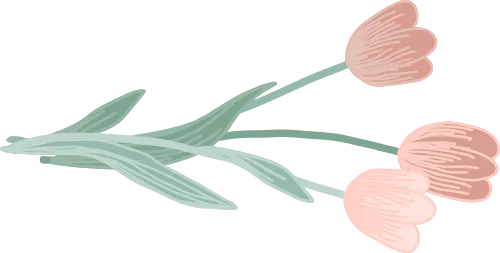 “你好!中考”心理辅导微课上线啦,轻松几步就能看 第12张