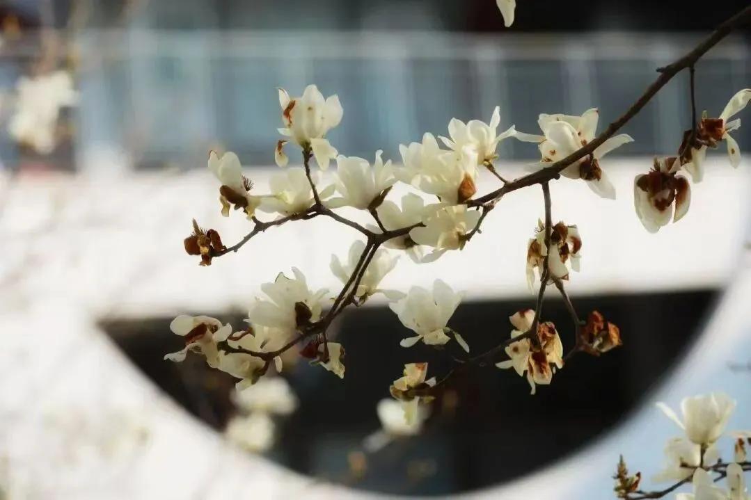 “你好!中考”心理辅导微课上线啦,轻松几步就能看 第15张