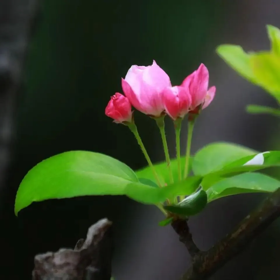 “你好!中考”心理辅导微课上线啦,轻松几步就能看 第16张