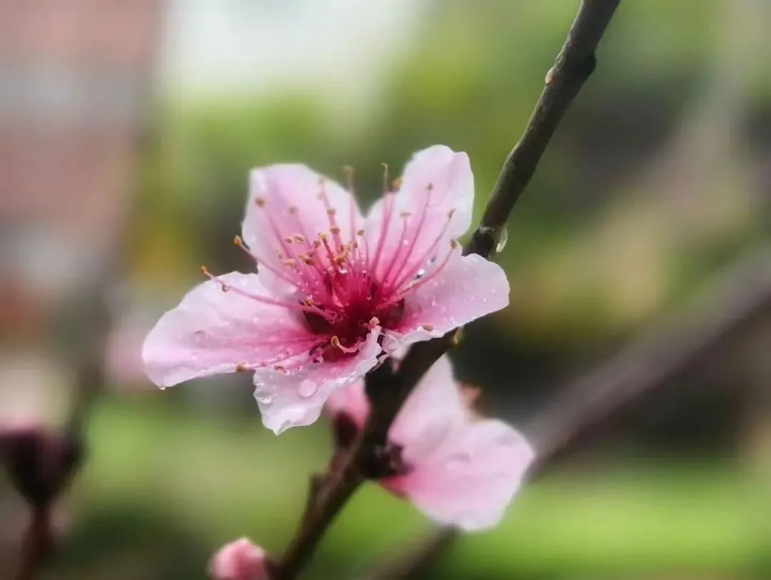 “你好!中考”心理辅导微课上线啦,轻松几步就能看 第17张