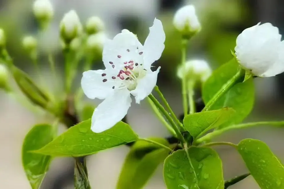 “你好!中考”心理辅导微课上线啦,轻松几步就能看 第20张