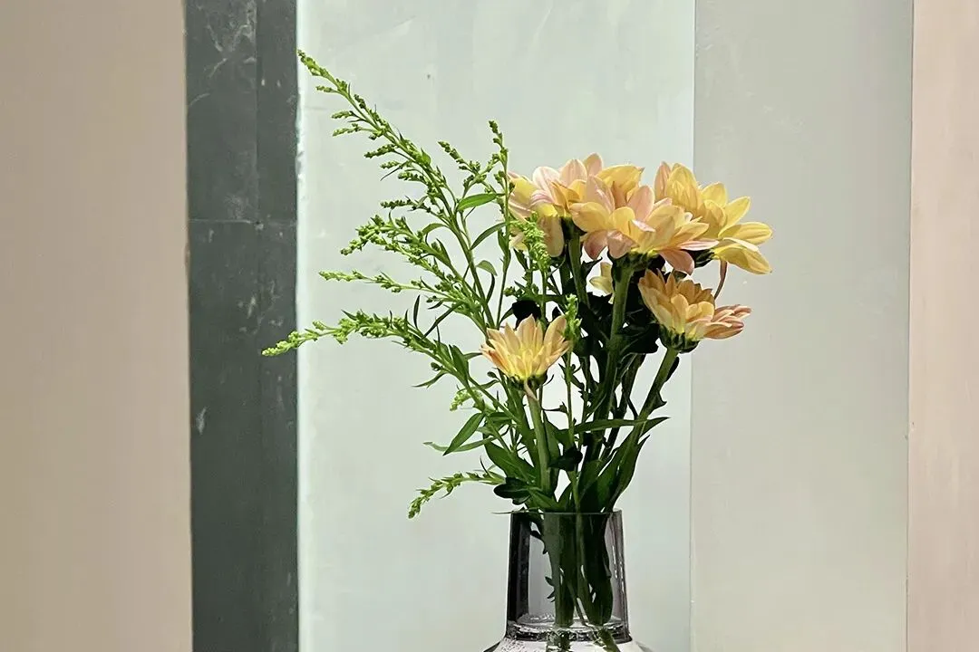 “你好!中考”心理辅导微课上线啦,轻松几步就能看 第28张