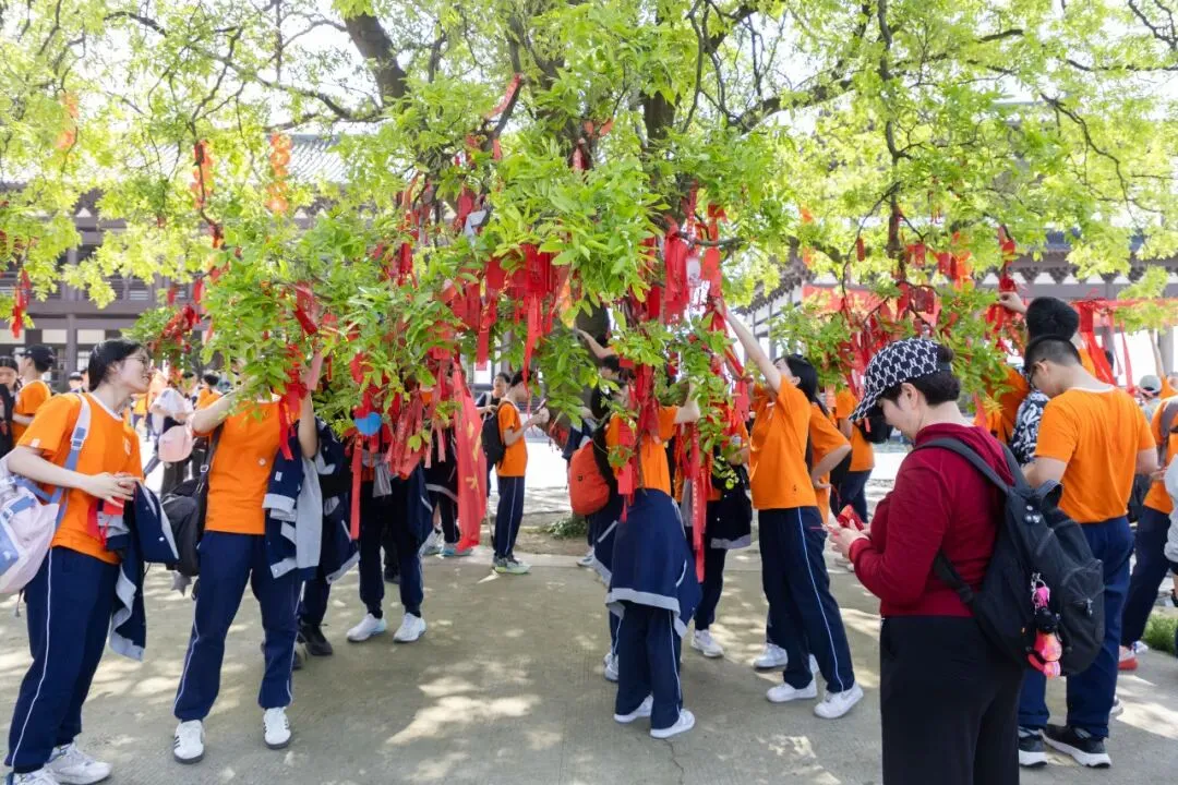 登八分山砺少年志|九年级社会实践暨中考冲刺动员 第20张