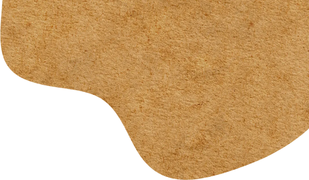 2021年 专四真题选择词汇 第11张