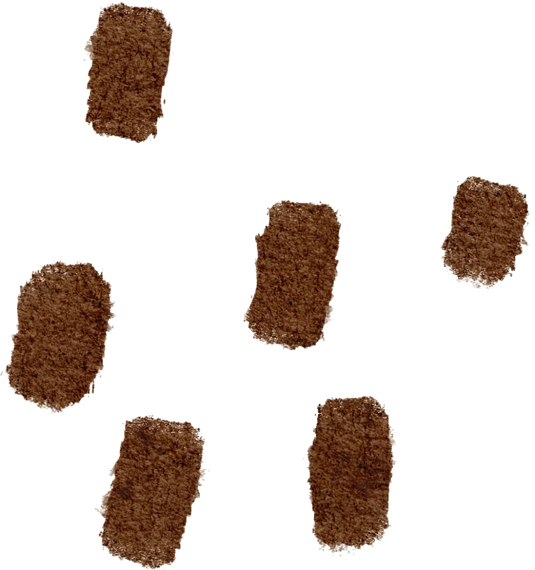 2021年 专四真题选择词汇 第19张