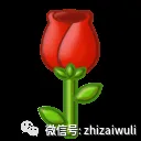 2026中考物理模拟二 第41张