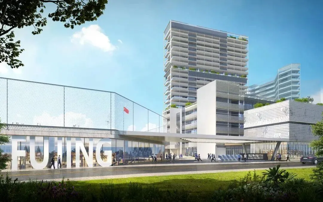 中考后转轨国际高中?办学历史悠久、100%升学率的深圳新福景双语学校不可错过! 第13张