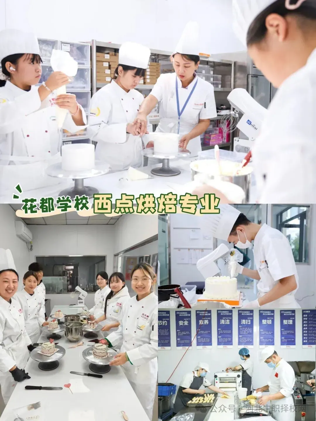 中考后选专业,学什么不容易被AI取代? 第3张