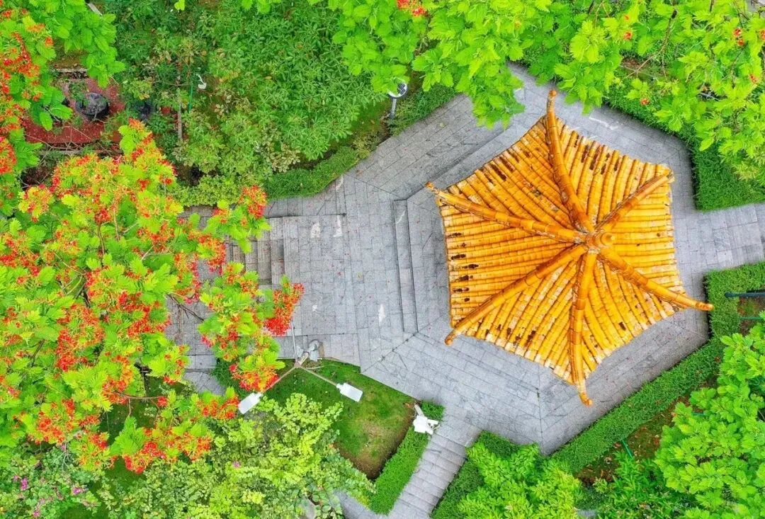 佛山中考前瞻|九江中学扩招近200人:多批次叠加名额分配放量,“第一志愿优先”成为关键规则 第3张