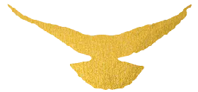 深耕写作教学,聚力中考提分———文水县知远中学特邀省级名师传经送宝 第15张